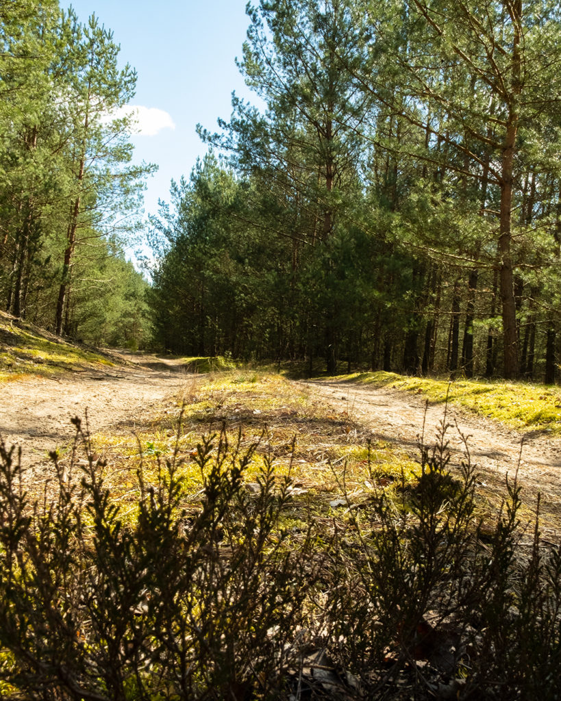 Der Weg ist das Ziel