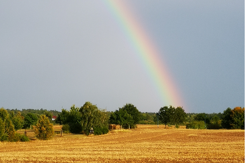 Ein wunderschöner Regenbogen
