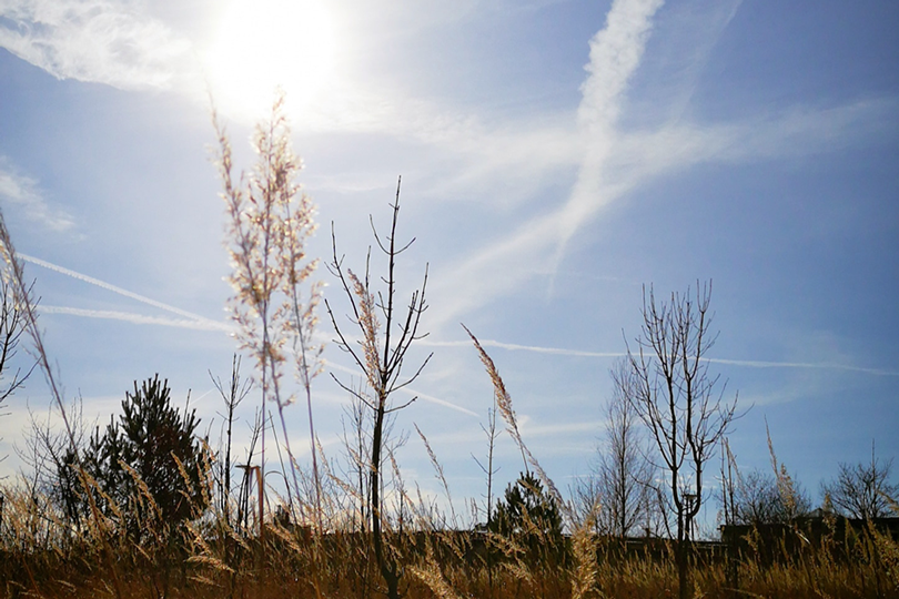 Der Reisehimmel im Sommer